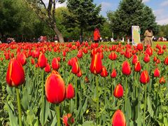 -长春公园(普阳街道)