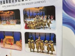 -中央芭蕾舞团·中芭艺蕾(酒仙桥明星校区)