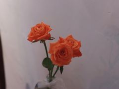 -朝与夕商务茶歇定制·轻奢摆台·下午茶