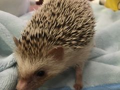 -藦茜花园宠物主题亲子互动体验馆(国顺东路店)