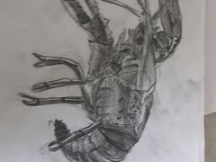 -北斗星爱涂艺术(城悦荟店)