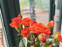 -Laures·月桂西班牙碳烤餐厅(十尚坊店)
