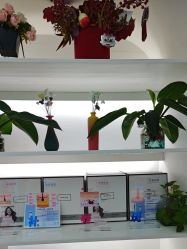 -斐尔国际皮肤管理中心