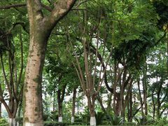 -永安龟山公园