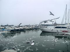 -日照世帆赛基地