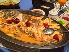老醋焖大鱼泡饼-紫泥369粗粮季(四牌楼店)