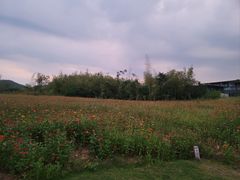 -天目湖涵田度假村