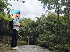 -山王坪喀斯特国家生态公园