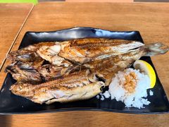 -诚家·日式烧鸟·深夜食堂(虹桥天街店)