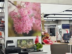 -胜达影像·佳能哈苏索尼