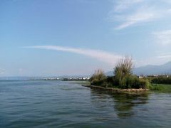 -才村湿地公园