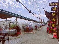 -渔娘蟹庄(阳澄湖莲花岛店)