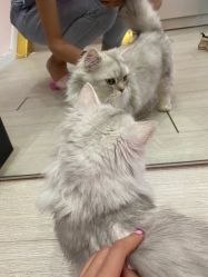 -Beauty Nails 美甲美睫皮肤管理