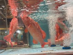 -阿伟海鲜楼·福建菜(延寿店)