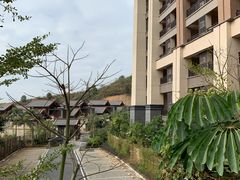 -清远熹乐谷温泉度假酒店