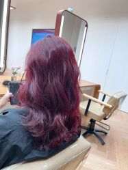 -程Studio