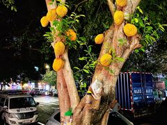 -碌碌发·东南亚风味烧烤档(体育西店)