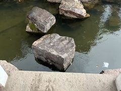 -水绘园