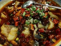 -胡桃里音乐酒馆(石家庄店)