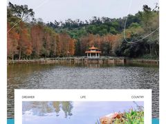 -深圳市中科院仙湖植物园
