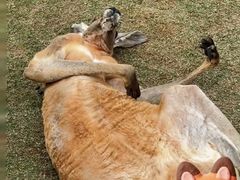 -泉州海丝野生动物世界