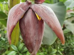 -忆江南·生态餐饮宴会酒店