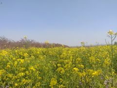 -古柏渡飞黄旅游区