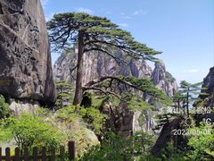 -黄山风景区