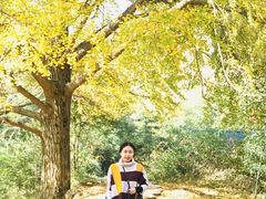 -千年银杏谷文化旅游区
