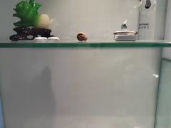 -海之声助听器 瑞士峰力直营中心(华麟大厦店)