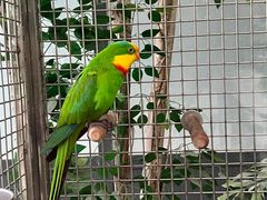 -南宫五洲植物乐园