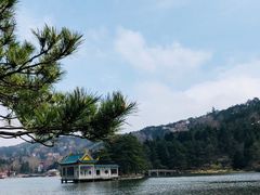 -庐山风景区花径公园