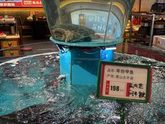 -魏铭鱼头捞饭(晋阳路店)