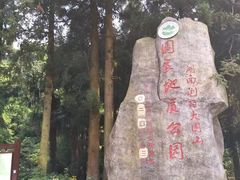-大围山国家森林公园