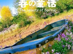 -东郊湿地公园