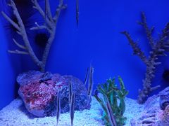 -上海海洋水族馆