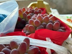 -马陆小张葡萄园农家乐