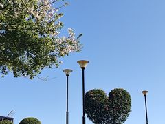 -东莞植物园