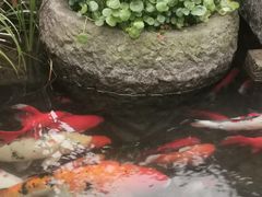 -前童古镇