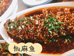 -老字号敖鸡肉