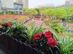 景观位-林记潮汕牛肉(融汇店)