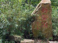 -上海市保健医疗中心