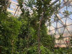 -北京植物园-展览温室