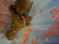 -潘大师炸鸡腿(莱蒙店)