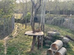 -济南野生动物世界