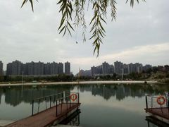 -滨湖塘西河公园