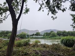 -长兴太湖图影湿地文化园