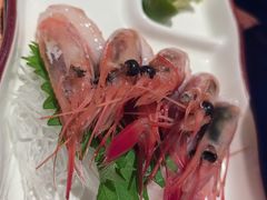 -千代武日本料理(哈西店)