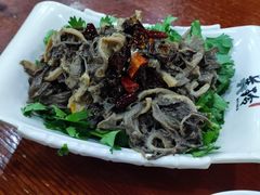 -美玲拉面(鞍山西道店)