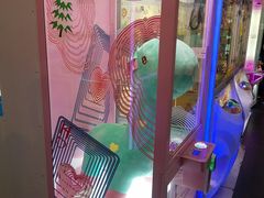 -PAWTOY爪e玩偶店(天兴罗斯福店)